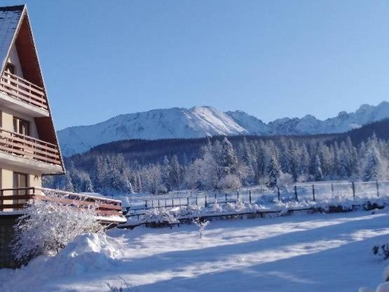 Willa Marysienka Bed & Breakfast Zakopane Eksteriør bilde